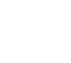 Solarwatt Logo